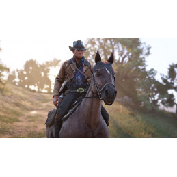 Red Dead Redemption 2 XBOX One CD Key