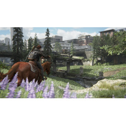The Last Of Us Part 2 - Preorder Bonus DLC EU PS4 / PS5 CD Key