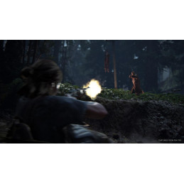 The Last Of Us Part 2 - Preorder Bonus DLC EU PS4 / PS5 CD Key