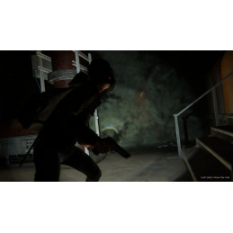 The Last Of Us Part 2 - Preorder Bonus DLC EU PS4 / PS5 CD Key