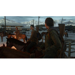 The Last Of Us Part 2 - Preorder Bonus DLC EU PS4 / PS5 CD Key
