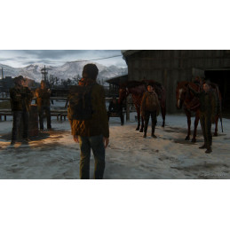 The Last Of Us Part 2 - Preorder Bonus DLC EU PS4 / PS5 CD Key