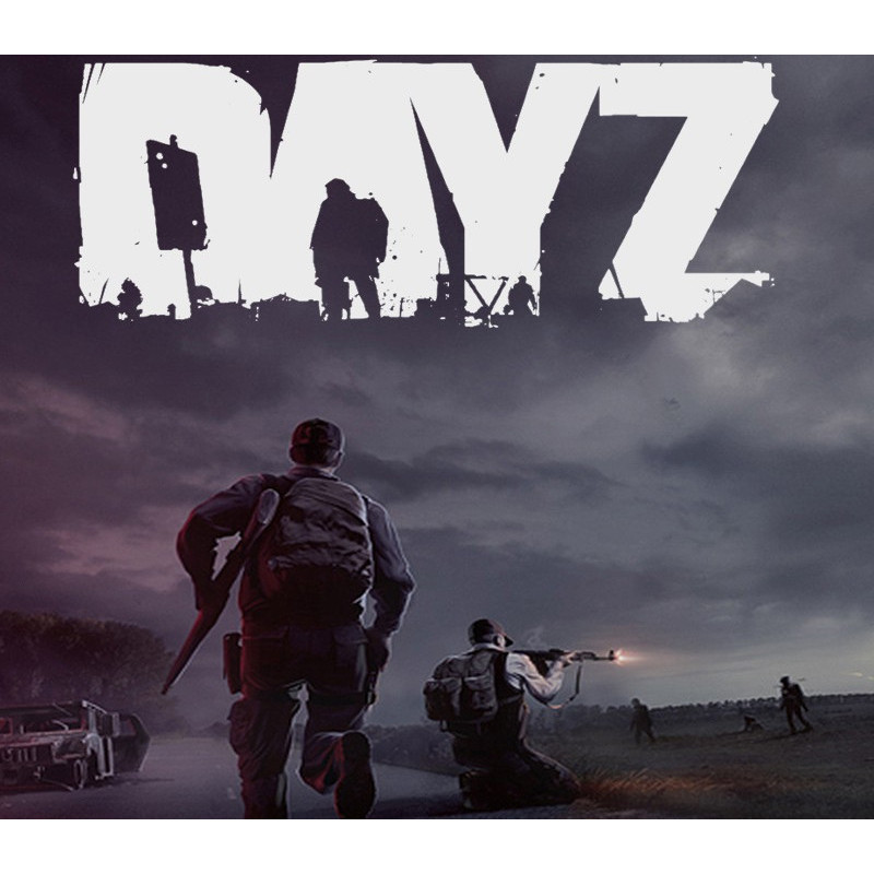 DayZ PC Steam CD Key
