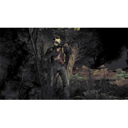 DayZ PC Steam CD Key