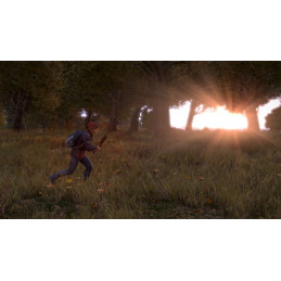 DayZ PC Steam CD Key