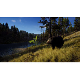 Way of the Hunter Steam CD Key