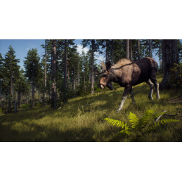 Way of the Hunter Steam CD Key