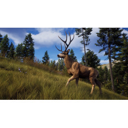 Way of the Hunter Steam CD Key