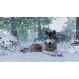 Planet Zoo PC Steam CD Key