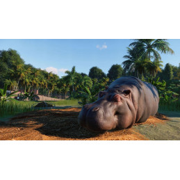 Planet Zoo Deluxe Edition PC Steam CD Key