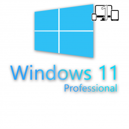 Microsoft Windows 11 Pro OEM