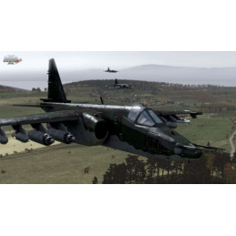 Arma X: Anniversary Edition Steam CD Key