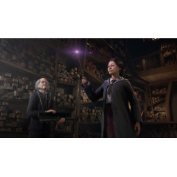 Hogwarts Legacy PC Steam CD Key
