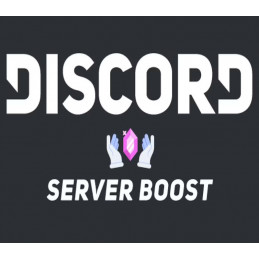 Discord Server - 14x Boost - 3 Months