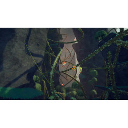 PEAK PC Steam Altergift