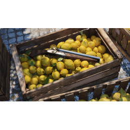 Mafia: The Old Country Deluxe Edition PRE-ORDER PC Steam CD Key Mafia: The Old Country Deluxe Edition PRE-ORDER PC Steam CD Key