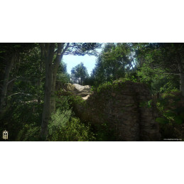 Kingdom Come: Deliverance - The Amorous Adventures of Bold Sir Hans Capon DLC Steam CD Key