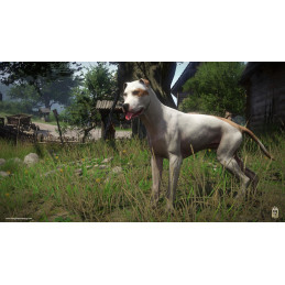 Kingdom Come: Deliverance - A Woman's Lot DLC Steam CD Key