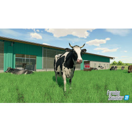 Farming Simulator 22 Steam CD Key